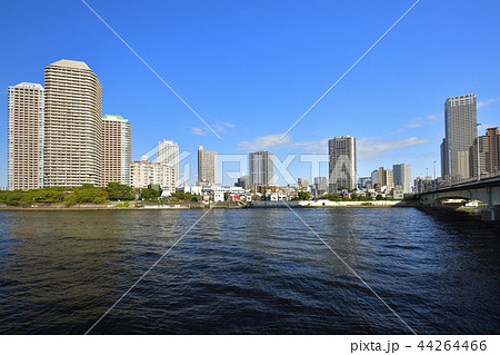 東京都中央区 【秋】 佃島と隅田川 44264466