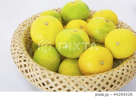 竹籠に入った早生ミカンのイメージ 44264526
