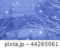 雪景色 44265061