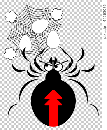 セアカゴケグモのイラスト 44265086