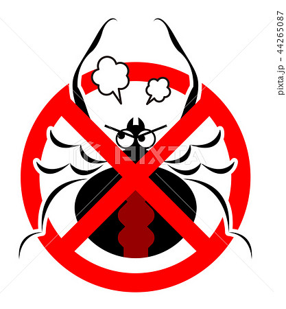 セアカゴケグモのイラスト セアカゴケグモのイラスト 44265087