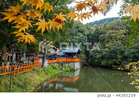京都の秋、稲荷山の新池（谺ヶ池） 44265239