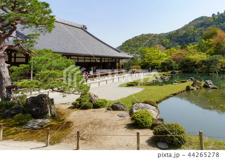 天龍寺 天竜寺 枯山水庭園 44265278