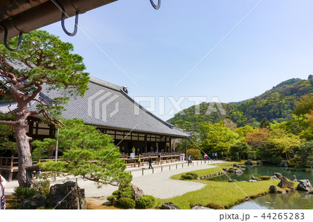 天龍寺 天竜寺 枯山水庭園 44265283