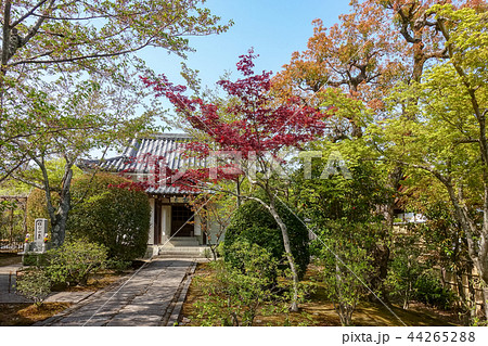 天龍寺 天竜寺 枯山水庭園 44265288
