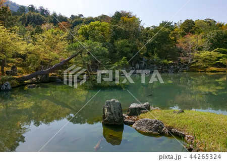 天龍寺 天竜寺 枯山水庭園 44265324