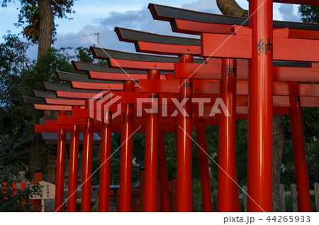 夕陽が照らす鳥居 44265933