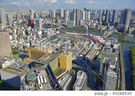 東京都中央区 【築地市場】 解体前全景 東京都中央区 【築地市場】 解体前全景 44266430