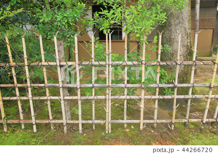 京都御所の苔と竹垣 京都御所の苔と竹垣 44266720