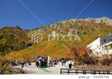 紅葉に包まれた立山連峰と黒部平駅 44266766