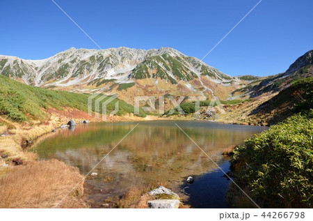 ミドリガ池と立山 44266798