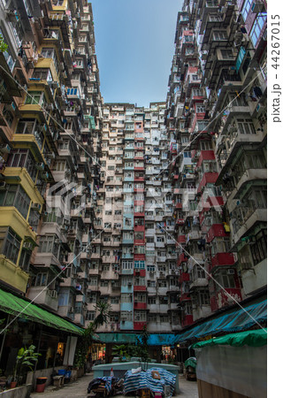 香港　モンスターマンション 44267015