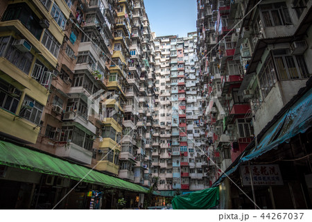 香港　モンスターマンション 44267037