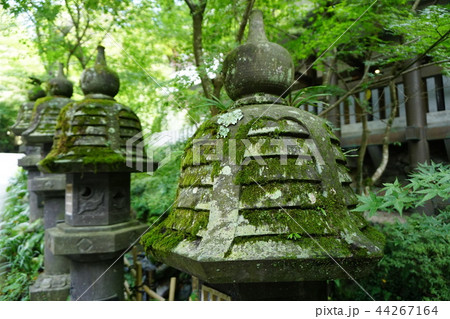 南蔵院 44267164