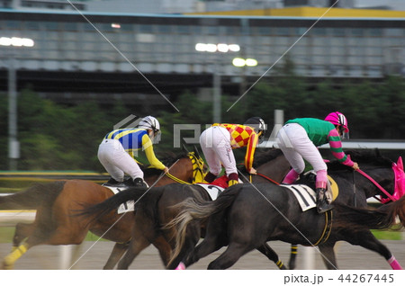 「競馬 ゴール目前のジョッキーたち」 「競馬 ゴール目前のジョッキーたち」 44267445
