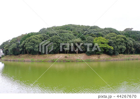 百舌鳥古墳群・ニサンザイ古墳 百舌鳥古墳群・ニサンザイ古墳 44267670