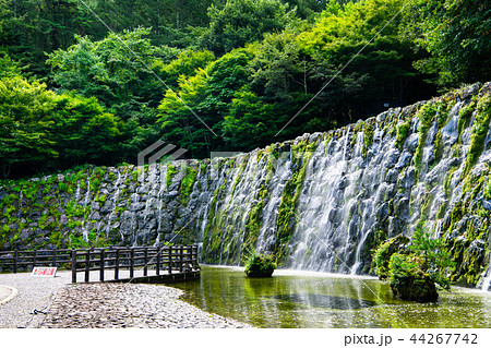 山梨 山中湖花の都公園 明神の滝 44267742