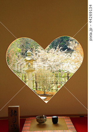 正寿院　ハートの窓と桜 44269134