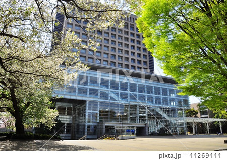 藤沢市　日本大学生物資源科学部本館と八重桜と新緑樹木 44269444