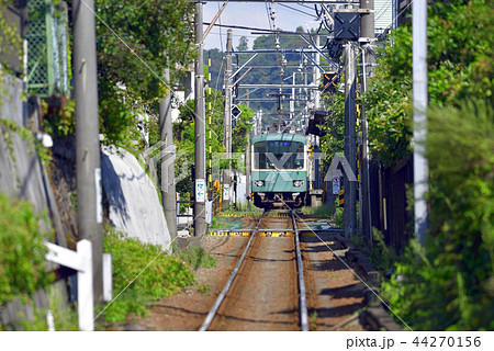 江ノ電1000形電車 【神奈川県鎌倉市】 夏の午後 44270156