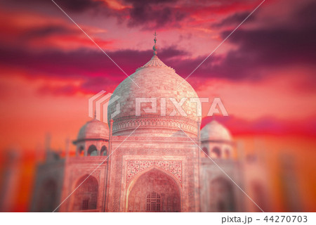 Taj Mahal Taj Mahal 44270703