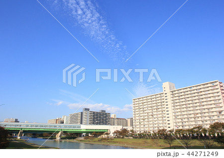 東大島駅と秋晴れの空 44271249