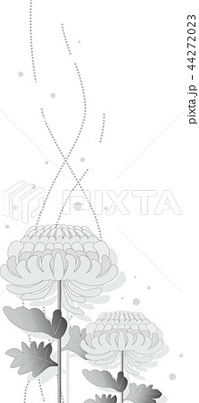 喪中ハガキの菊の花のイラストのイラスト素材