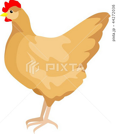 Hen Farm Animal Vector Illustration Hen Farm Animal Vector Illustration 44272036