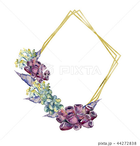 Colorful aquatic underwater nature coral reef. Frame border ornament square. Colorful aquatic underwater nature coral reef. Frame border ornament square. 44272838