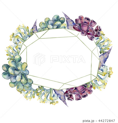 Colorful aquatic underwater nature coral reef. Frame border ornament square. Colorful aquatic underwater nature coral reef. Frame border ornament square. 44272847