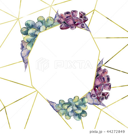 Colorful aquatic underwater nature coral reef. Frame border ornament square. Colorful aquatic underwater nature coral reef. Frame border ornament square. 44272849