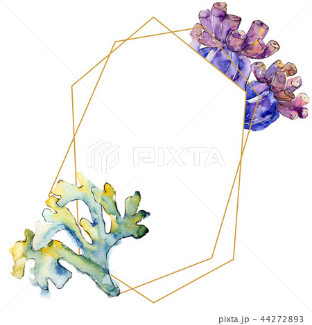 Colorful aquatic underwater nature coral reef. Frame border ornament square. Colorful aquatic underwater nature coral reef. Frame border ornament square. 44272893