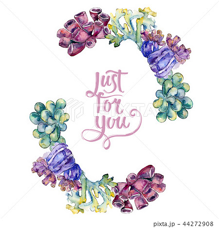 Colorful aquatic underwater nature coral reef. Frame border ornament square. 44272908