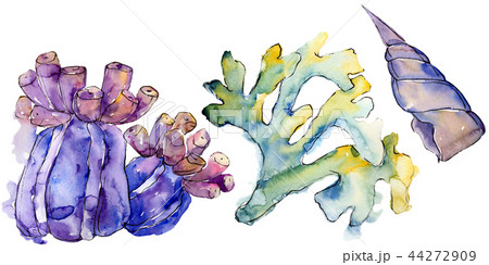 Colorful aquatic underwater nature coral reef. Isolated illustration element. 44272909