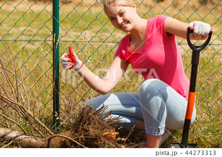 Woman digging hole in garden 44273313