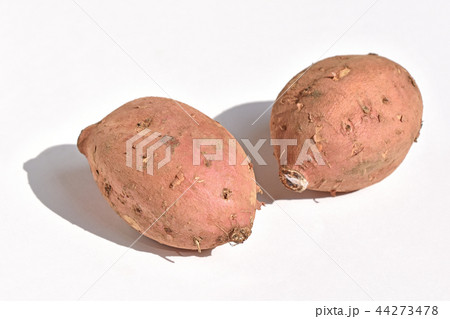 アンノウイモ(安納芋) アンノウイモ(安納芋) 44273478