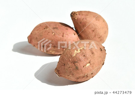 アンノウイモ（安納芋） 44273479