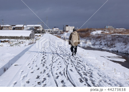 冬の道 44273638