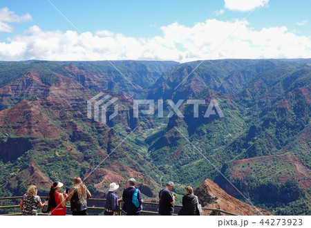 ワイメア渓谷 44273923