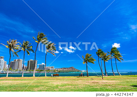 《ハワイ》ワイキキビーチ・デューク像前 44274347