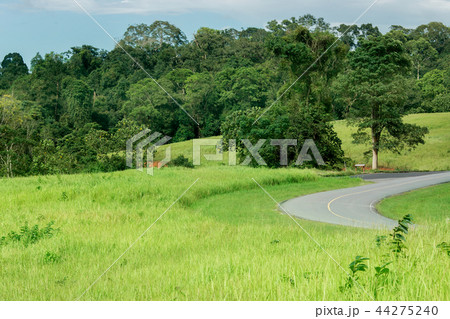 road, Field, Front or Back Yard, Land, Lawn road, Field, Front or Back Yard, Land, Lawn 44275240