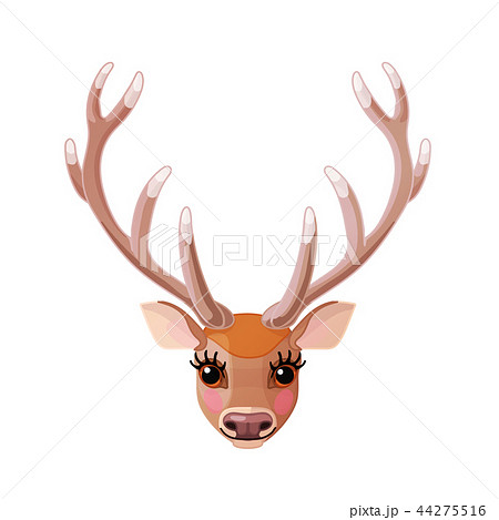 vector cartoon animal clip art 44275516
