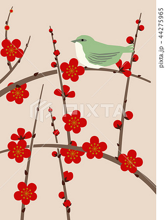 梅と鶯 日本の春のイメージ 和柄のデザイン素材 のイラスト素材