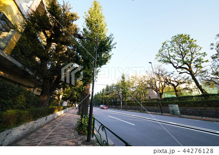 日本の東京都市景観　目白通りなど、街並みを望む（画面右側は、学習院） 44276128