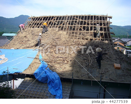 本堂屋根葺き替え　古い瓦を下ろして骨組みが露わに 44277539