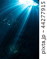 セノーテの光芒 44277915