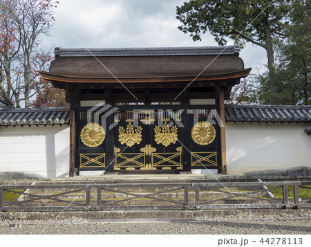 秋の醍醐寺 秋の醍醐寺 44278113