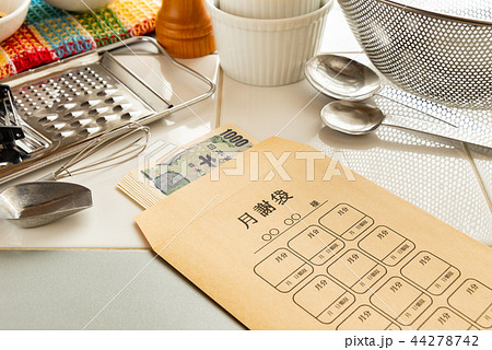 月謝袋　習い事　洋食　月謝　料理教室　クッキングスクール 44278742