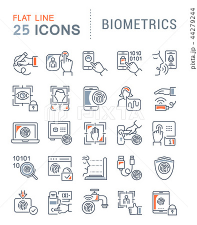 Set Vector Line Icons of Biometrics. Set Vector Line Icons of Biometrics. 44279244