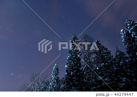 星空2 44279447